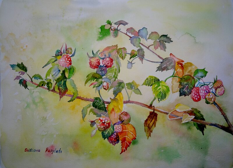 Akvarell Sista hallonen av Svitlana Vasylets