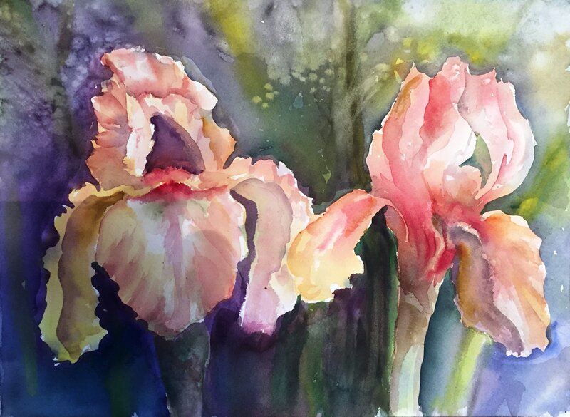Akvarell Iris stolthet av Tanya Lundmark