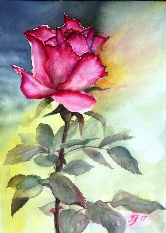 Akvarell En ros för dig av Tanya Lundmark