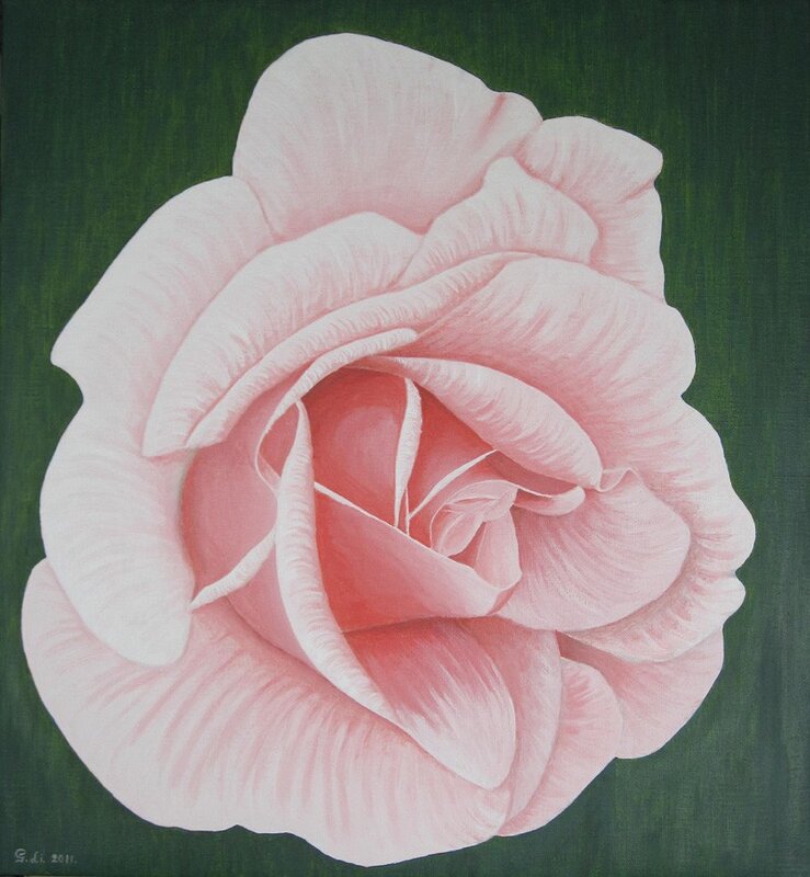 Akrylmålning Rosa ros av Gösta Lindunger