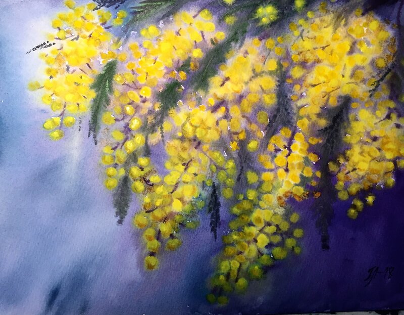 Akvarell Mimosa av Tanya Lundmark