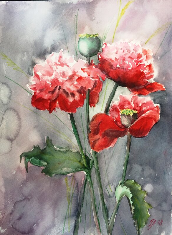 Akvarell Poppies av Tanya Lundmark