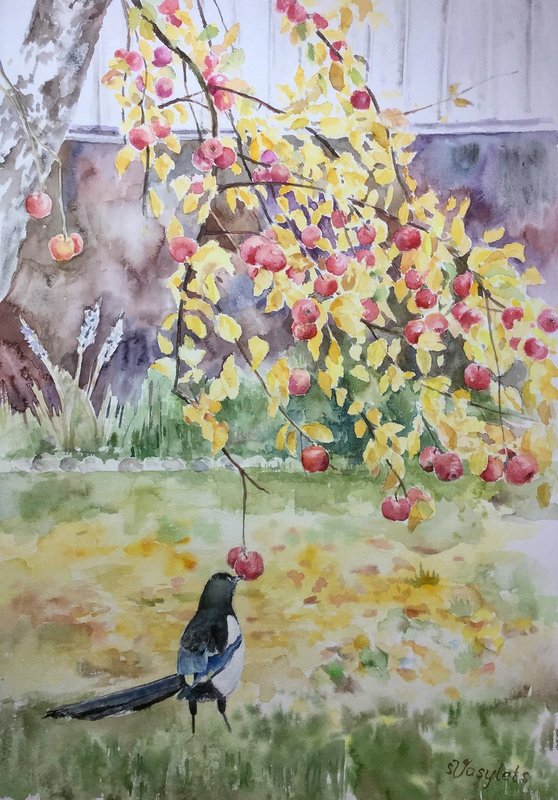 Akvarell Äppelkännare av Svitlana Vasylets