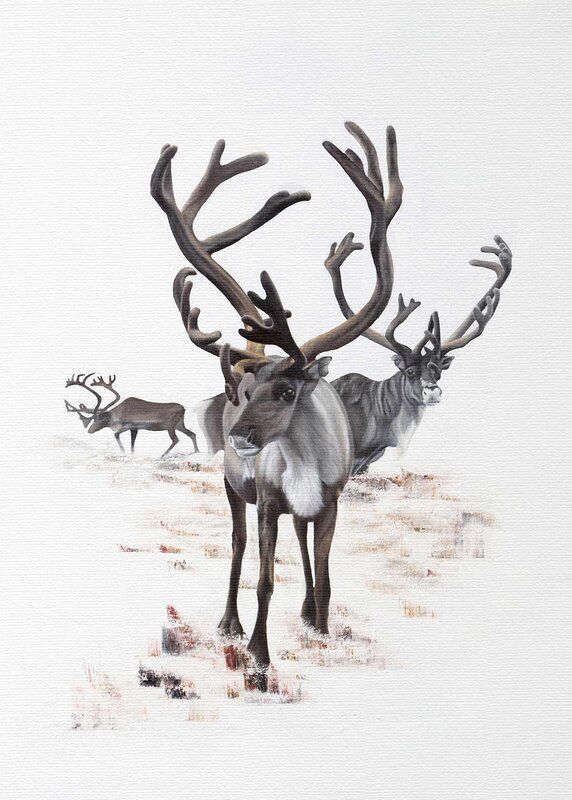 Oljemålning Reindeerflower av Sofia Ohlsén