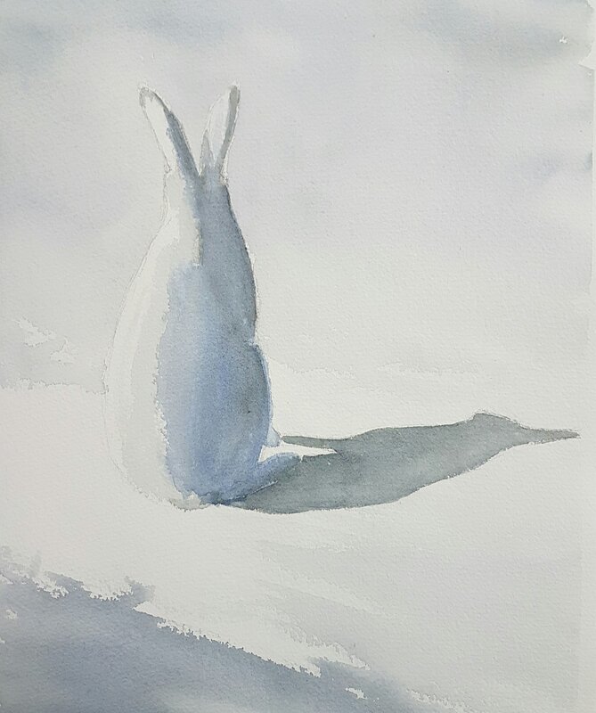 Akvarell Harens skugga av Nina Laestander