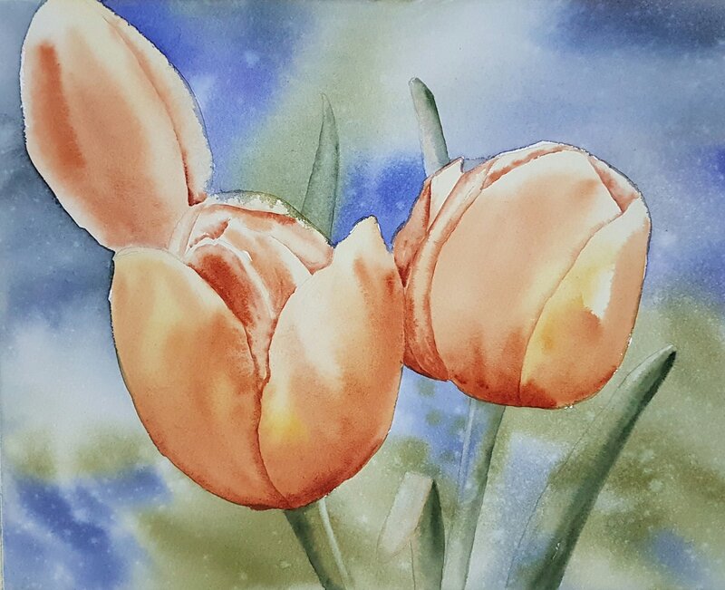 Akvarell Tulpaner av Nina Laestander