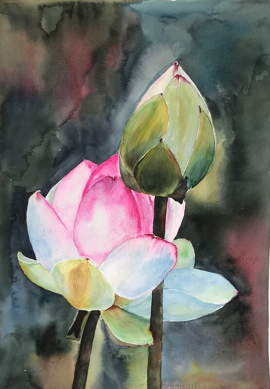 Akvarell Lotusblomma av Ewa Helzen