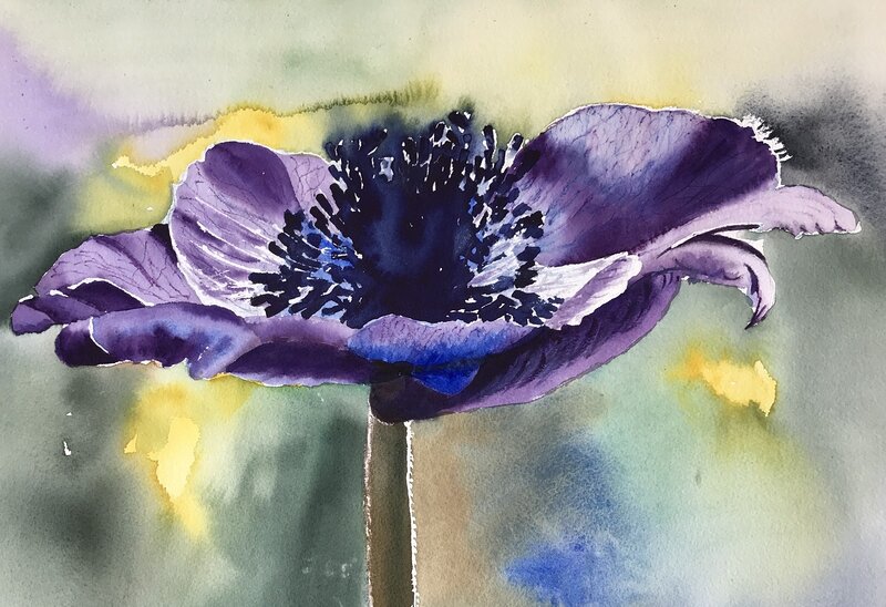 Akvarell Blå anemon av Ewa Helzen