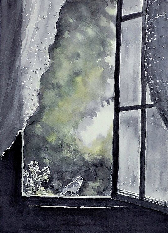 Porno katta klitoris